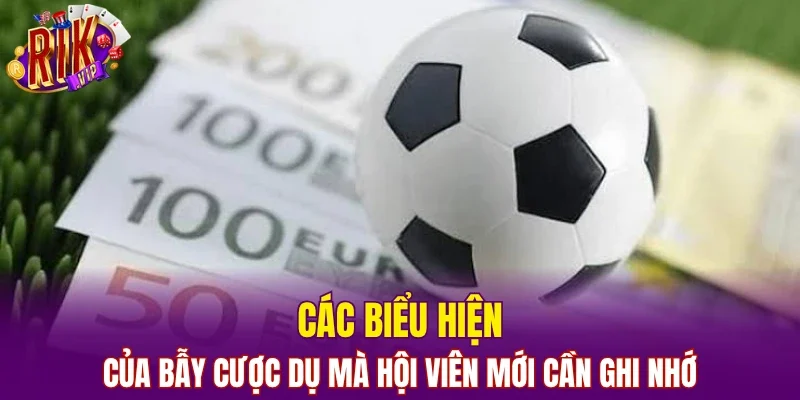 Các biểu hiện của bẫy cược dụ mà hội viên mới cần ghi nhớ