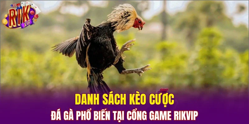 Danh sách kèo cược đá gà phổ biến tại cổng game RIKVIP