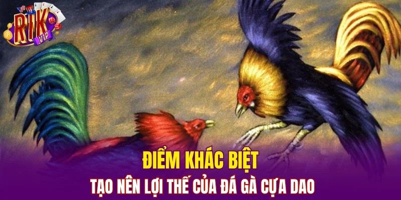 Điểm khác biệt tạo nên lợi thế của đá gà cựa dao